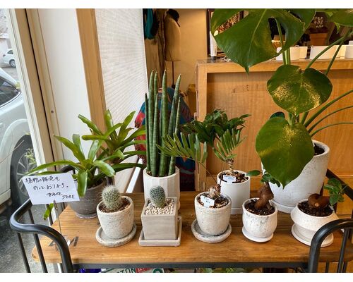 EB59BE9A-ED6A-4D13-AFFA-F72074584759