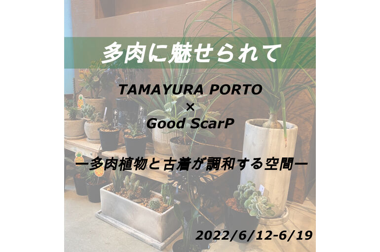 イベント情報 多肉植物に魅せられて 店主自ら展示会やブランドショップに足を運んでいます 神奈川のgood Scarpで古着をセレクト販売